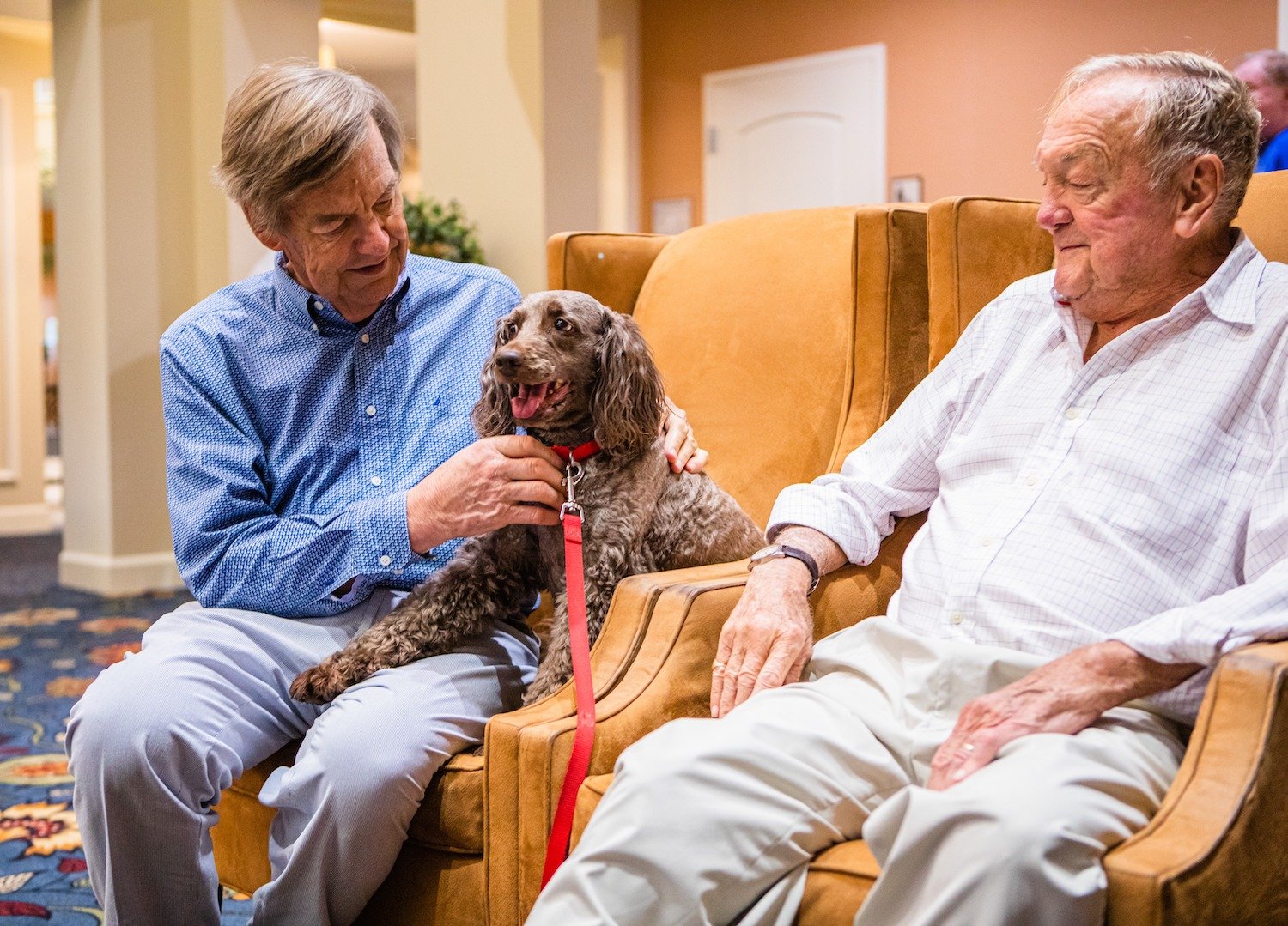 Senior friends with pet