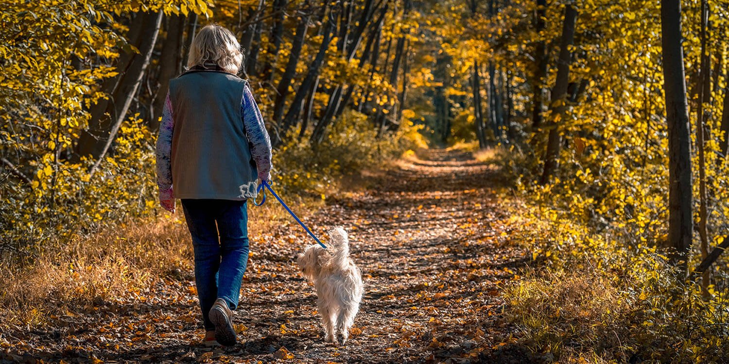 senior woman walking through a path with her dog